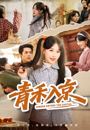青禾入京（60集）抢先看热门短剧