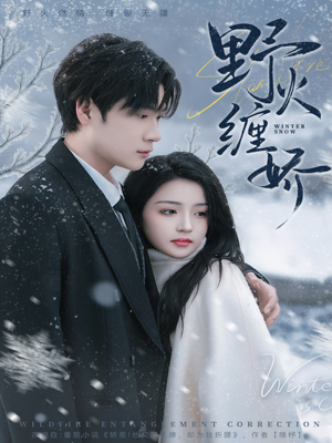 野火缠娇(66集) 野火缠娇(66集)免费版