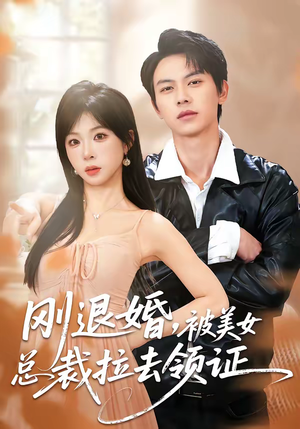 刚退婚，被美女总裁拉去领证（81集）一起追生活短剧