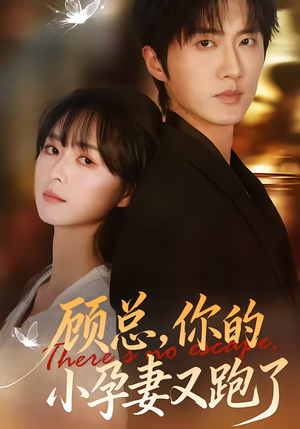 顾总,你的小孕妻又跑了(47集) 顾总,你的小孕妻又跑了(47集)短剧分享剧集