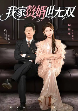 我家赘婿世无双（73集）好看的短剧分享