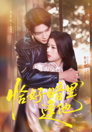 恰好暗里逢他（66集）短剧有好货推荐