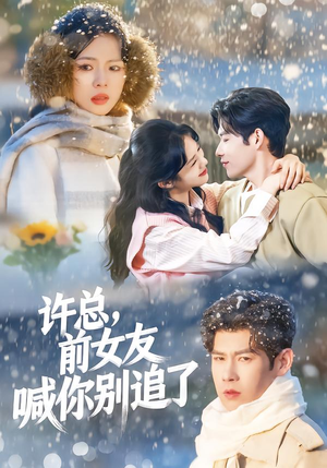 许总，前女友喊你别追了（80集）精彩短剧看不停