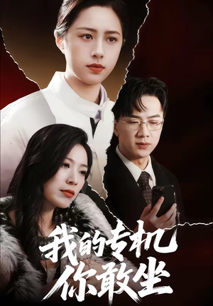 我的专机你敢坐（62集）精彩短剧天天看