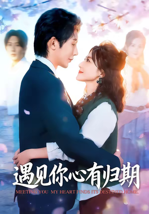 遇见你心有归期（81集）一起看短剧