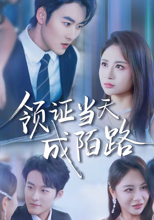 领证当天成陌路（39集）海量资源免费看
