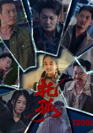 托孤（65集）热播短剧排行榜