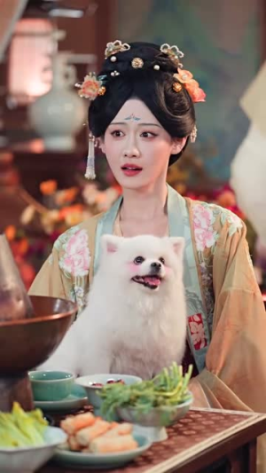 我靠宫心秘籍勇闯后宫（77集）免费短剧资源