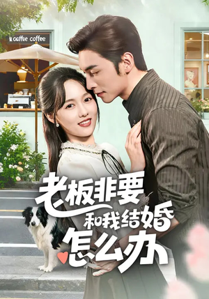 老板非要和我结婚怎么办（50集）哪个网站可以看