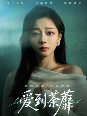爱到荼蘼（63集）百度网盘资源