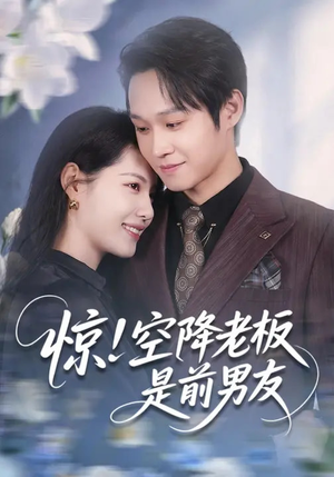 惊！空降老板是前男友（65集）哪个网站可以看