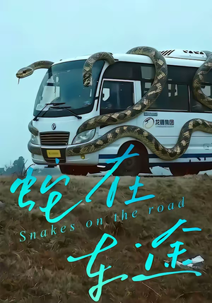 蛇在车途(34集) 蛇在车途(34集)80到100集
