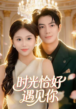 时光恰好遇见你（80集）独家资源免费看