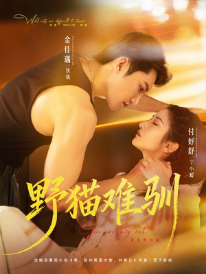 野猫难驯（73集）火爆热门短剧
