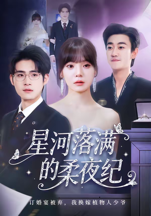 星河落满的柔夜纪（88集）全集在线看