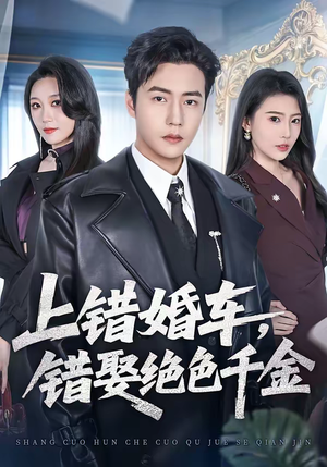 上错婚车，错娶绝色千金（80集）剧情简介