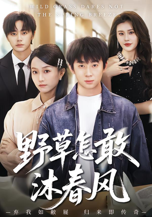 野草怎敢沐春风（61集）河马免费短剧