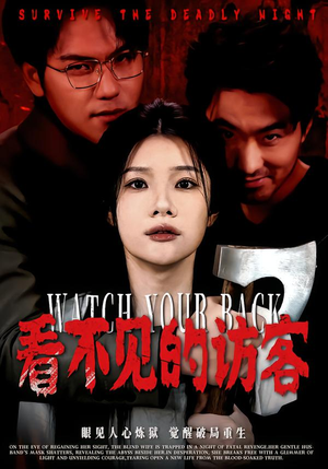 看不见的访客（62集）网盘在线观看