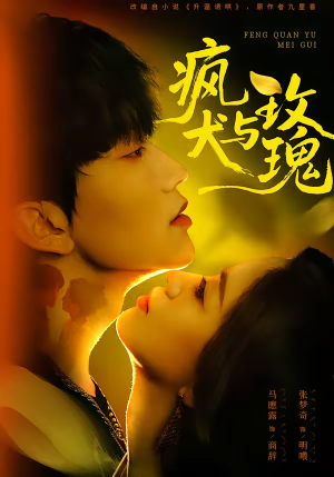 疯犬与玫瑰（80集）经典回顾免费看