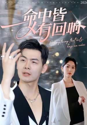 命中皆有回响（62集）第三季