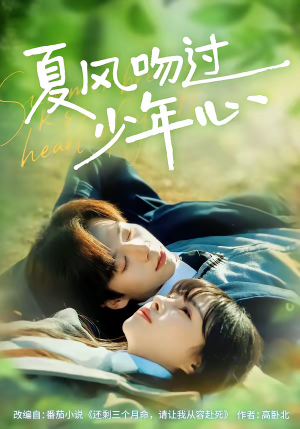 夏风吻过少年心(76集) 夏风吻过少年心(76集)第一集