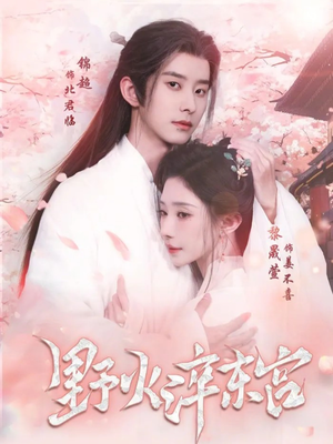 野火淬东宫（76集）超好看的短剧