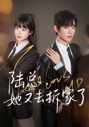 陆总，她又去拆家了（80集）网上可以看吗