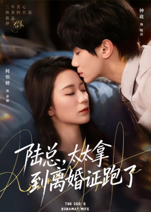 陆总，太太拿到离婚证跑了（86集）古装短剧热播