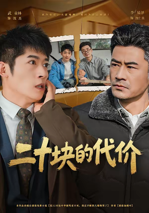 二十块的代价（64集）免费短剧看全集