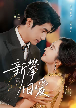 新攀旧爱(67集) 新攀旧爱(67集)免费看