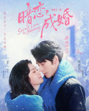 暗恋成婚（60集）无需充值尽情看