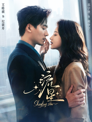 流星（77集）热播短剧排行榜