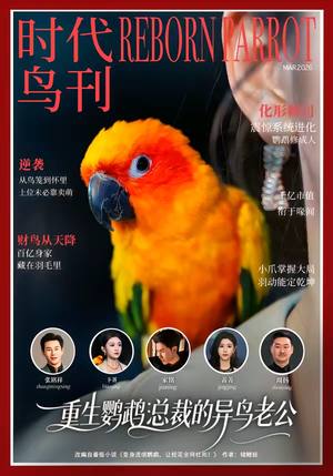 重生鹦鹉：总裁的异鸟老公（80集）太好看了短剧