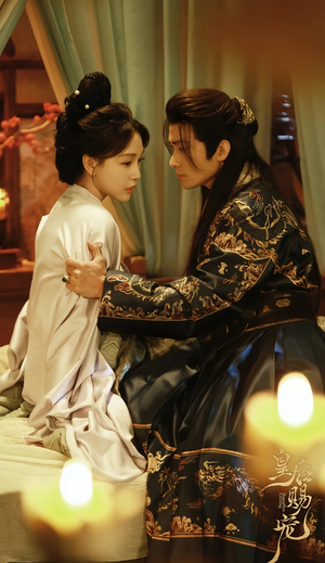 皇后赐宠（22集）短剧太精彩