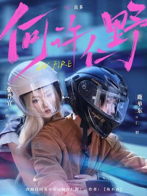 何许仁野（60集）UC网盘在线看