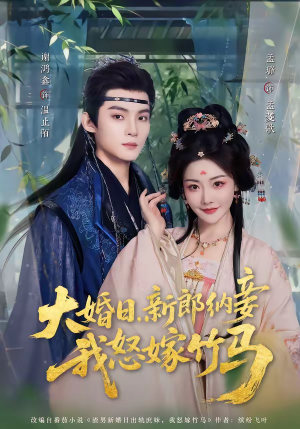 大婚日，新郎纳妾我怒嫁竹马（80集）免费看短剧