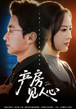 产房见人心（98集）追风的女孩短剧