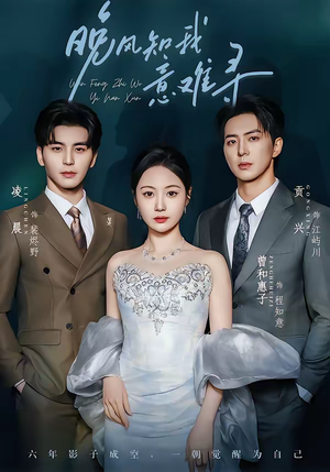 晚风知我意难寻(60集) 晚风知我意难寻(60集)高分佳作免费看