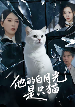 他的白月光是只猫(69集) 他的白月光是只猫(69集)免费短剧大全