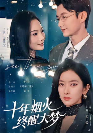 十年烟火，终醒大梦（60集）精彩热门短剧