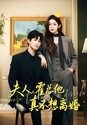 夫人，霍总他真不想离婚（65集）在线观看