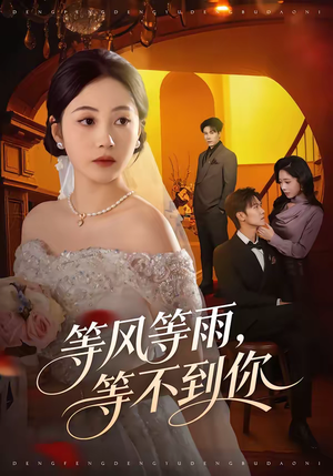 等风等雨,等不到你(65集) 等风等雨,等不到你(65集)每天分享短剧
