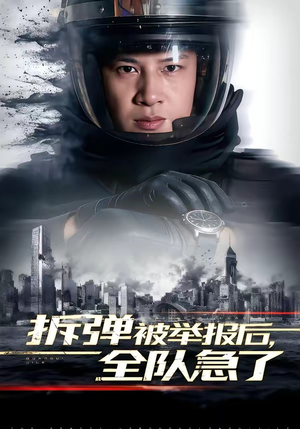 拆弹被举报后，全队急了（50集）一口气看完全集