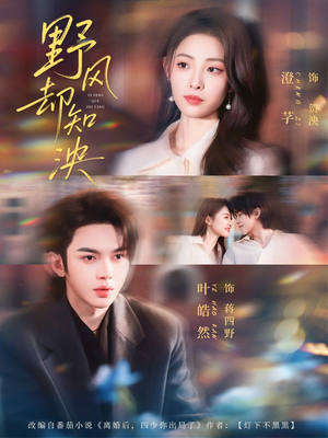 野风却知泱（80集）集免费看短剧