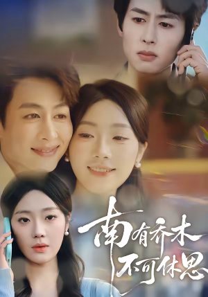 南有乔木，不可休思（68集）这部短剧太好看