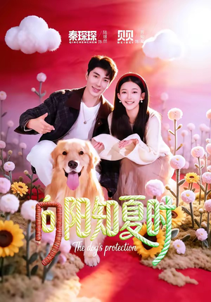 向阳知夏时（80集）好看短剧推荐