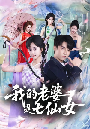 我的老婆是七仙女（57集）真的好看吗