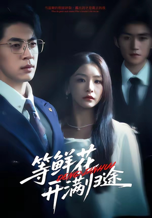 等鲜花开满归途（61集）零花钱看整部剧