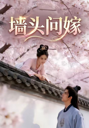 墙头问嫁（29集）短剧太好看了吧