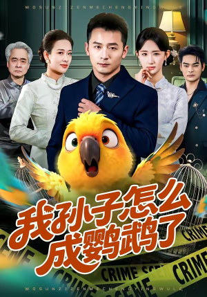 我孙子怎么成鹦鹉了（71集）精彩短剧推荐